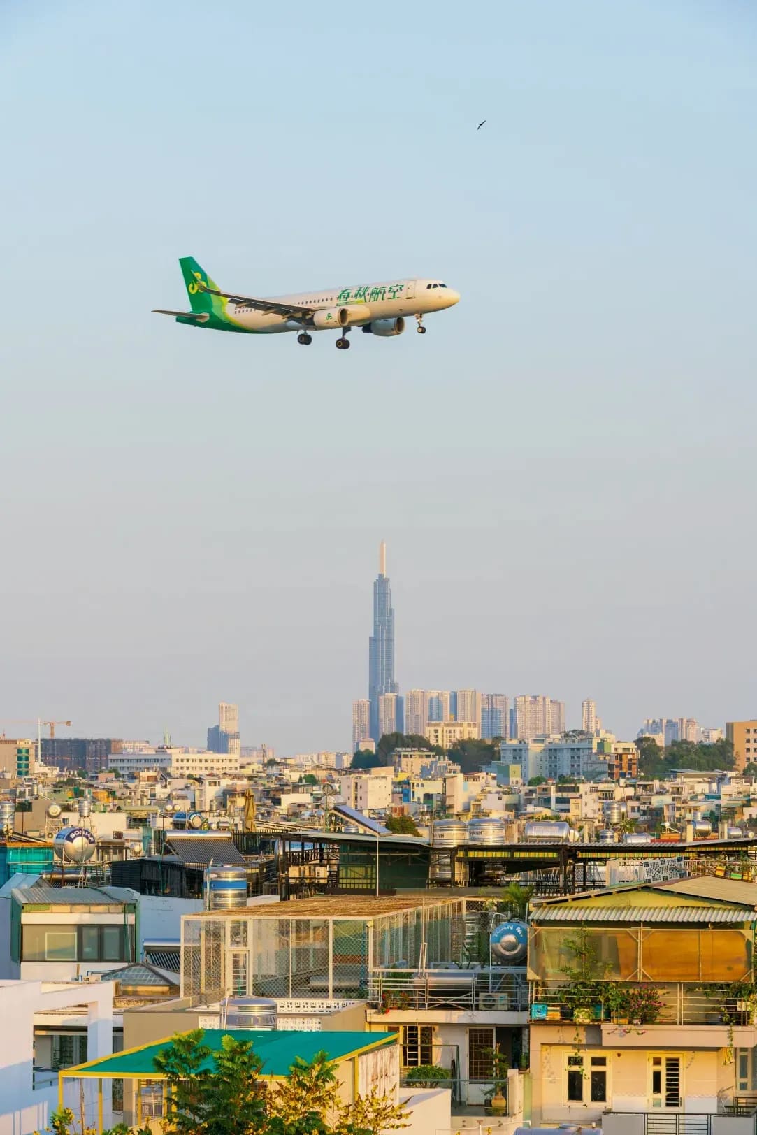 桜旅プランニング 7